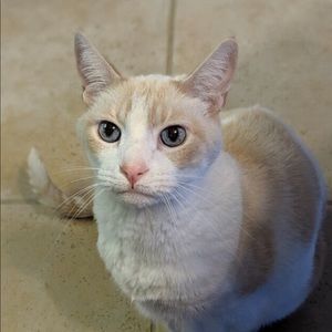 Meet your Posher, Calin